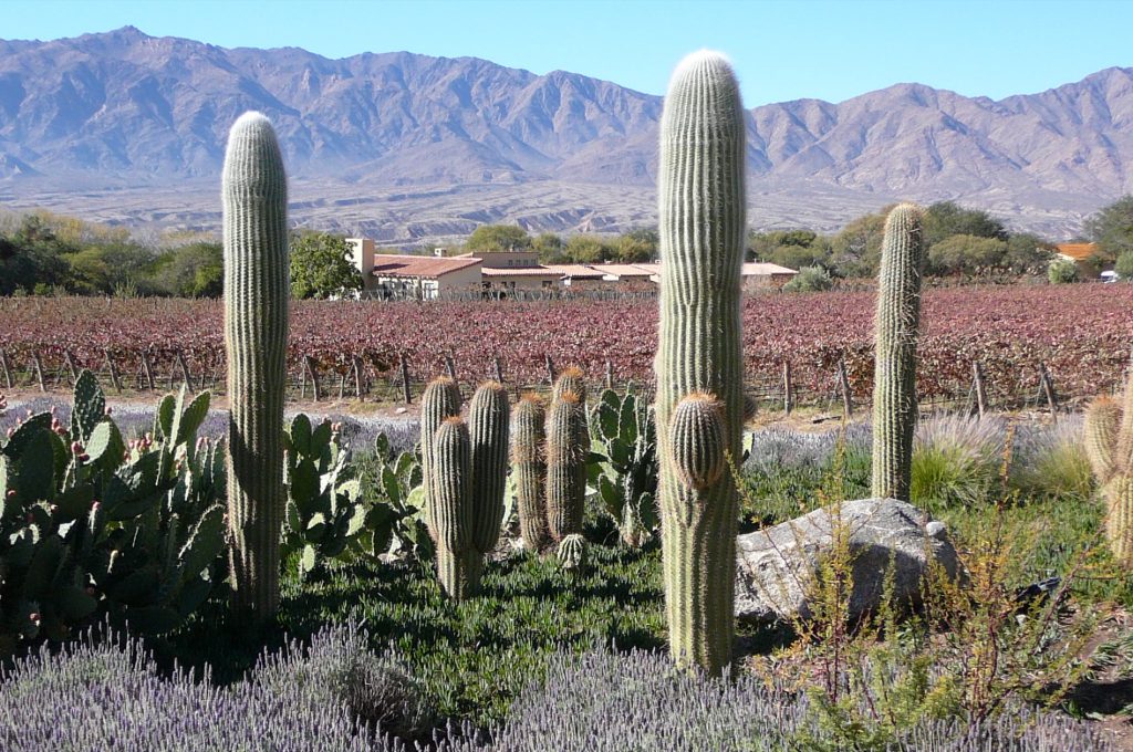 Estancia Colome