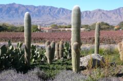 Estancia Colome