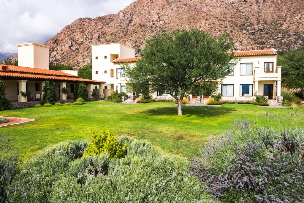 Vinas de Cafayate
