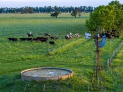 Estancia La Bandada