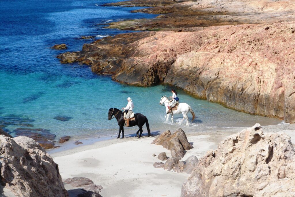 Bahia Bustamante
