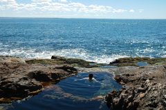 Bahia Bustamante