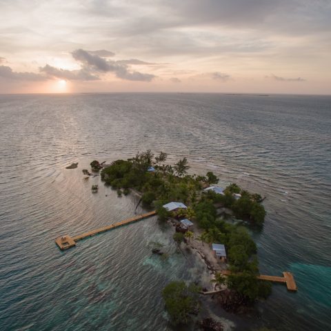 BEL_CaribbeanCayesAndCoast_CoralCaye (1)