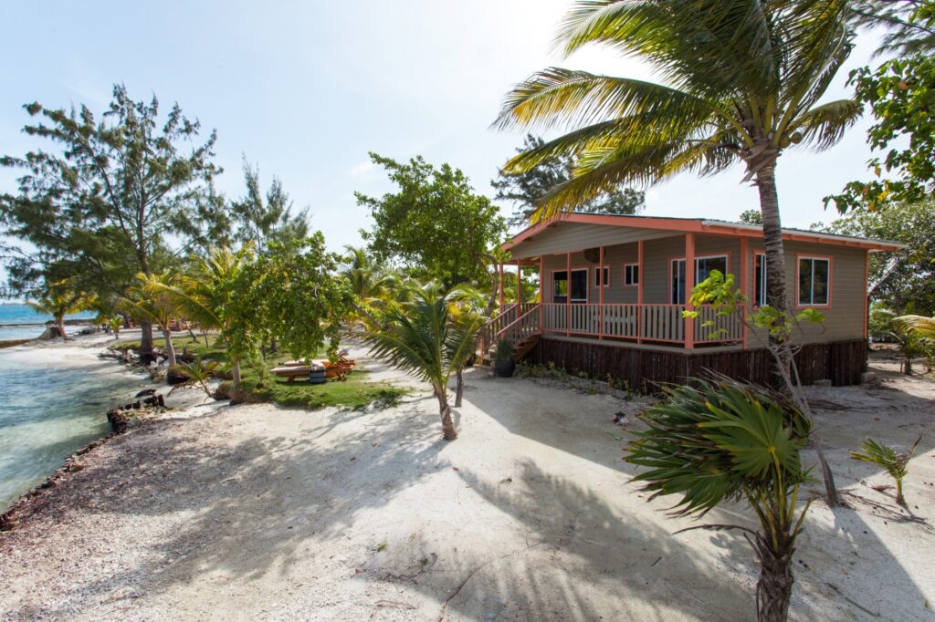 BEL_CaribbeanCayesAndCoast_CoralCaye (3)