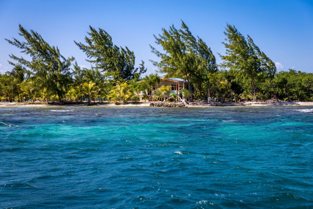 BEL_CaribbeanCayesAndCoast_CoralCaye (5)