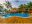 BEL_CaribbeanCayesAndCoast_SunBreezeHotel (3)