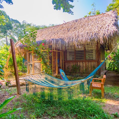 BEL_MayaMountainsAndJungle_BocawinaRainforestResort (3)
