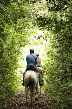 Chaa Creek