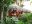 BEL_MayaMountainsAndJungle_LamanaiOutpostLodge (3)