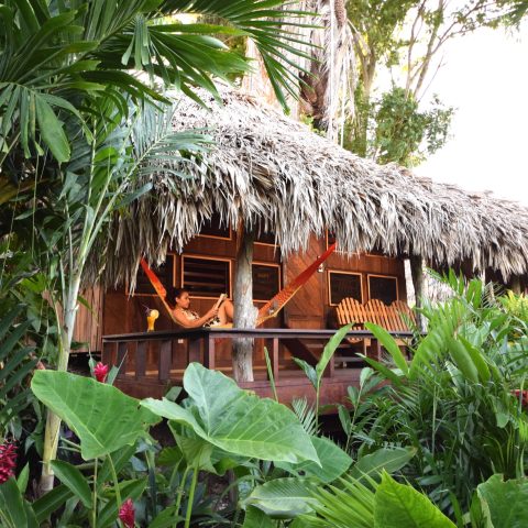 BEL_MayaMountainsAndJungle_LamanaiOutpostLodge (3)