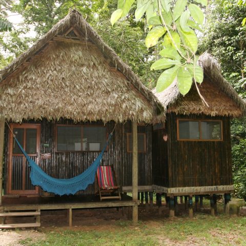 BOL_BolivianAmazon_ChalalanEcolodge (2) BOL_BolivianAmazon_ChalalanEcolodge (2)
