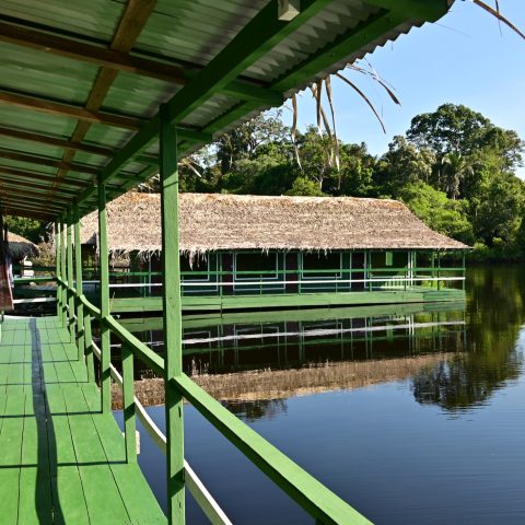 BRA_TheBrazilianAmazon_AmazonEcoLodge (2)