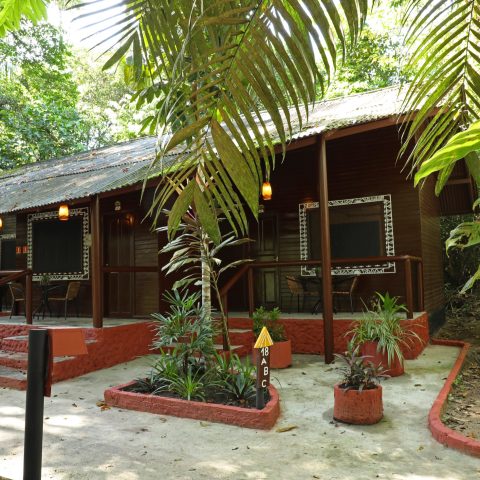 BRA_TheBrazilianAmazon_AmazonEcoparkJungleLodge (3)