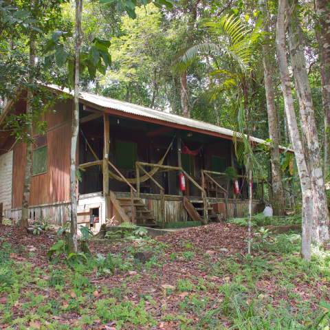 BRA_TheBrazilianAmazon_AmazonVillageLodge (1) BRA_TheBrazilianAmazon_AmazonVillageLodge (1)