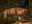 BRA_TheBrazilianAmazon_AnavilhanasLodge (5)