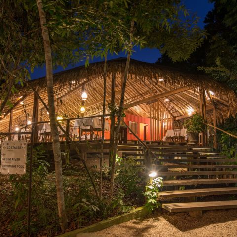BRA_TheBrazilianAmazon_AnavilhanasLodge (5)