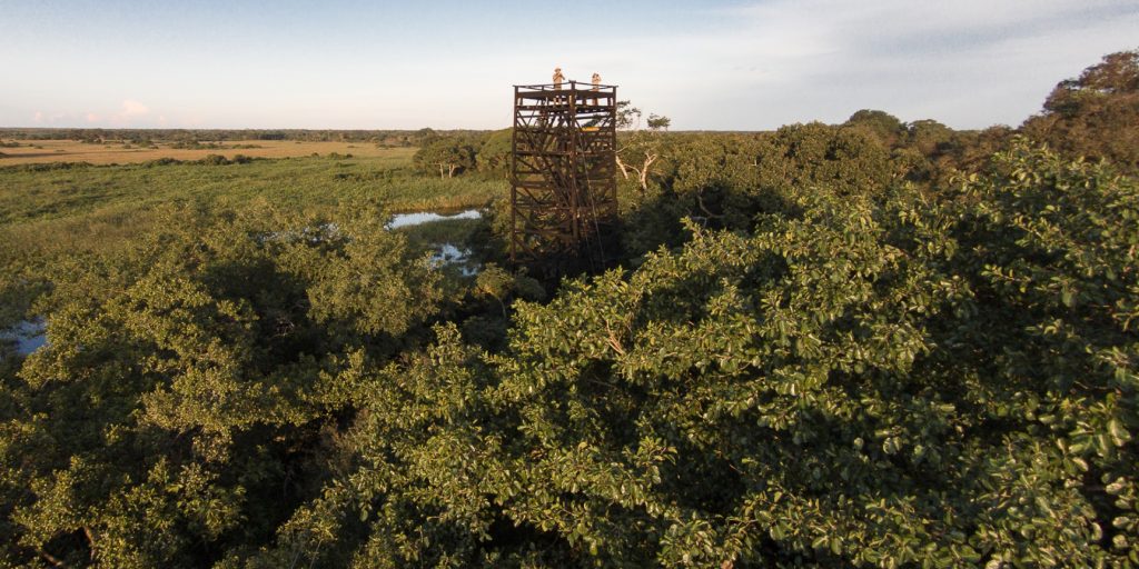 BRA_Pantanal_ArarasPantanalEcoLodge (6)