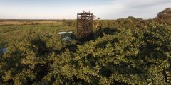 BRA_Pantanal_ArarasPantanalEcoLodge (6)