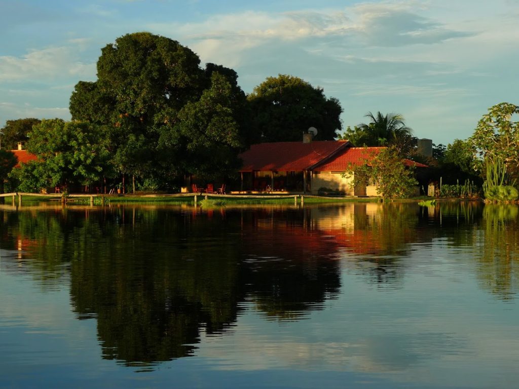 Fazenda Barranco Alto