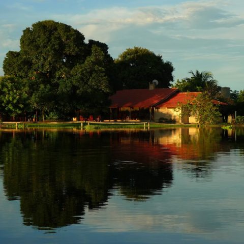 Fazenda Barranco Alto