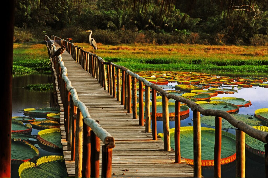 Hotel Pantanal Norte