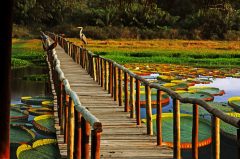 Hotel Pantanal Norte