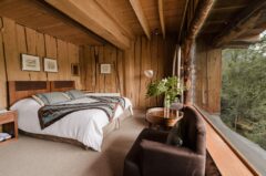 CHI_ChileanLakeDistrictNorth_NothofagusHotelAndSpa (3)