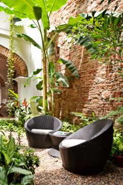 Hotel Alfiz