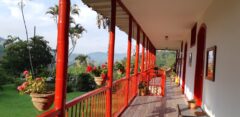 COL_ZonaCafetera_HaciendaVenecia (1)