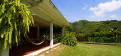 COL_ZonaCafetera_HaciendaVenecia (3)