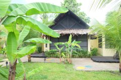 Amazonas B&B