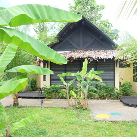 Amazonas B&B