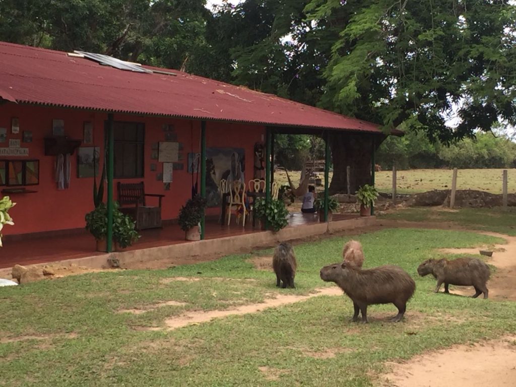 COL_ColombianLlanos_HotelMataDePalma (1)