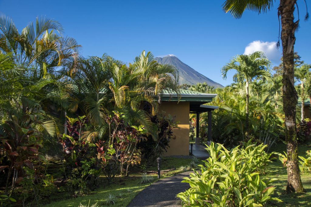 Arenal Manoa