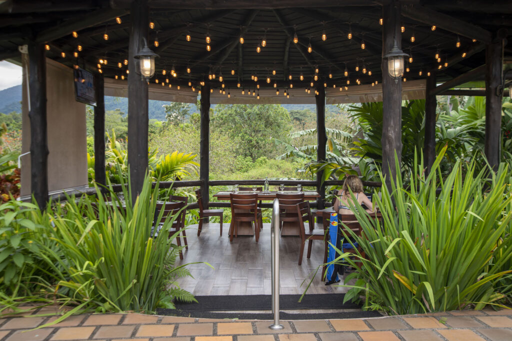 Arenal Manoa