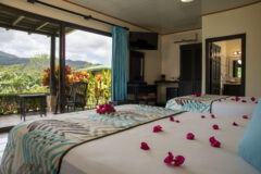 Arenal Manoa