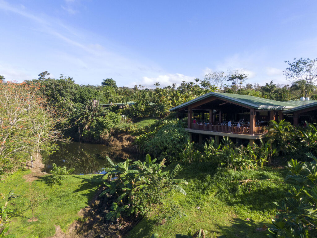 Arenal Manoa