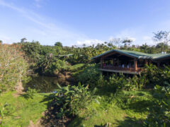Arenal Manoa