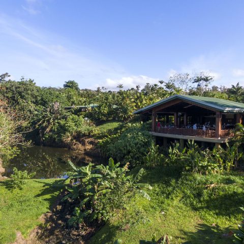 Arenal Manoa