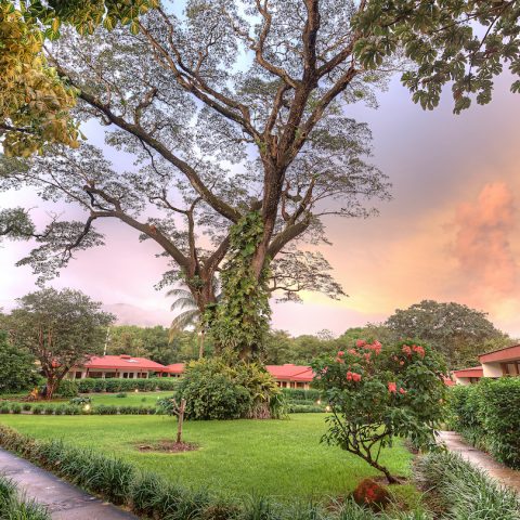 SUPPLIERS IMAGES! Hacienda Guachipelin