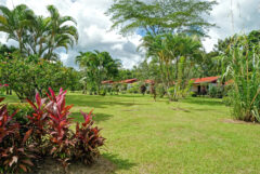 Volcano Lodge