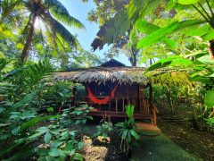 Cariblue Beach and Jungle Resort