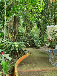 Cariblue Beach and Jungle Resort