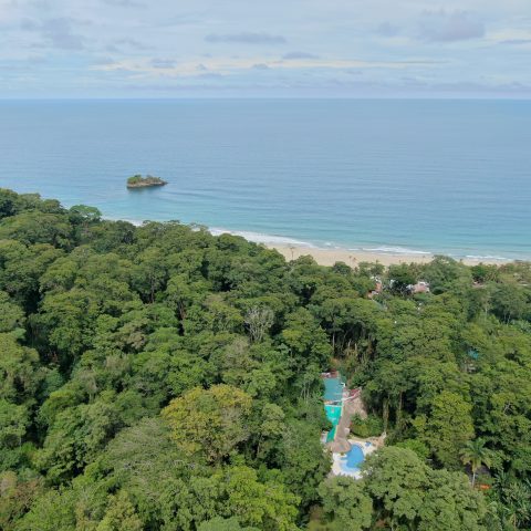 Cariblue Beach and Jungle Resort