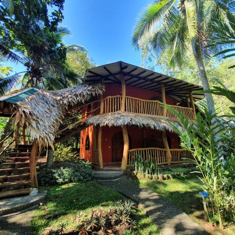 Cariblue Beach and Jungle Resort