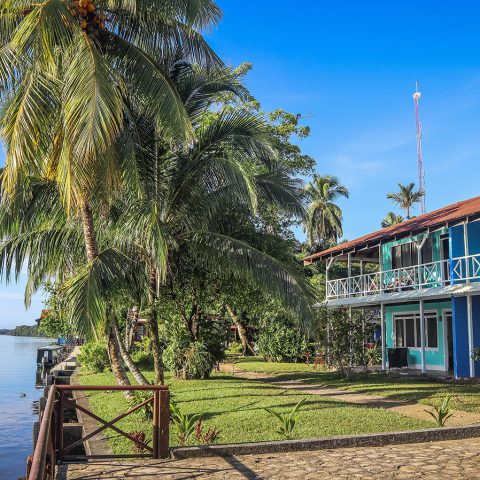 Tortuga Lodge & Gardens