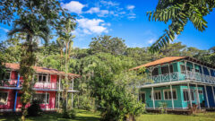 Tortuga Lodge & Gardens