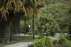 Cloud Forest Lodge