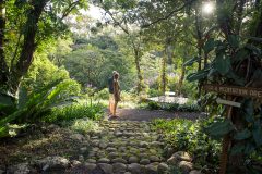 Monteverde Lodge and Gardens