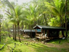 La Leona Eco Lodge